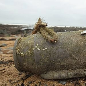 Plastic octopus pot from Mexico, washed up on beach strandline, Bude, Cornwall, England, january