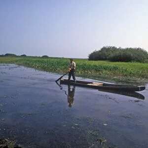Poland Man on boat / Narew River / Biebrza Marshes