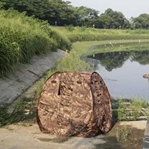 Pop-up hide used by bird photographer at edge of water, Hong Kong, China, October