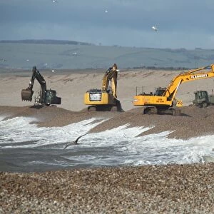 Repairing sea defences, excavators repairing seawall on shingle beach, Chesil Beach, Dorset, England, February 2014