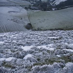 Rime frost, on hillside in rural landscape, Dorset, England, december