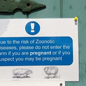 Due to the risk of Zoonotic diseases, please do not enter the farm if you are pregnant or if you suspect you may be