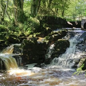River cascades and salmon ladder, Whitewell, Lancashire, England, october