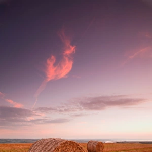 Round straw bales in stubble field at sunset, with distant view of River Taw onto The Bar in Bideford Bay