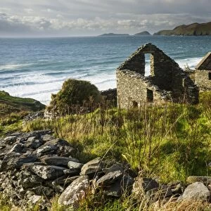 Ruined coastal dwelling and farm buildings, Coumeenole, Slea Head, Dingle Peninsula, County Kerry, Munster, Ireland
