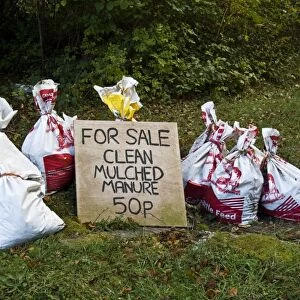 For Sale, clean mulched manure sign, with filled bags, Lulworth, Dorset, England, october