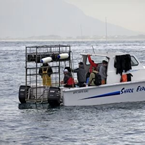 Shark Explorer shark watching boat with dive cage, Simonstown, Western Cape, South Africa, June