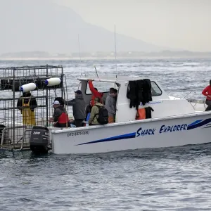 Shark Explorer shark watching boat with dive cage, Simonstown, Western Cape, South Africa, June Shark Explorer shark watching boat with dive cage, Simonstown, Western Cape, South Africa, June