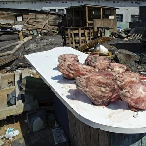 Sheep heads, meat known as smileys, Langa Township, Cape Town, Western Cape, South Africa