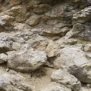 Silurian limestone in quarry, showing reef formation, Wenlock Edge, Shropshire, England, April
