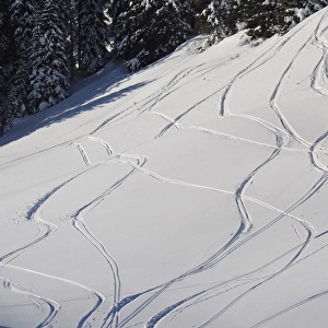 Skiing trails on snow covered mountain slope, Davos, Graubunden, Swiss Alps, Switzerland, january