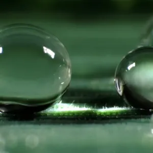 Spherical Water Droplets Print Spherical Water Droplets Print