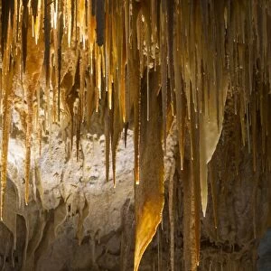 Stalactites in limestone cave, Kelly Hill Caves, Kangaroo Island, South Australia, Australia, February