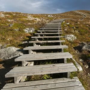 Steps leading to summit of fell, Saana Fell, Kilpisjarvi, Enontekio, Lapland, Finland, September