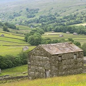 Stone barn, fields and drystone walls, view of Swaledale from above Thwaite, Yorkshire Dales N. P