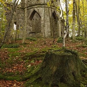 Stone-built folly in woodland habitat, The Burn, Glen Esk, near Edzell, Angus, Scotland, october