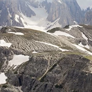 Stone stripes from frost heave in high altitude tundra, Tre Cime, Dolomites, Italian Alps, Italy, June