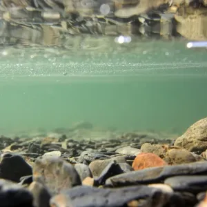 Stones on lakebed reflected underneath surface, Buttermere, Lake District, Cumbria, England, March Stones on lakebed reflected underneath surface, Buttermere, Lake District, Cumbria, England, March