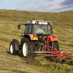 Styer 9078 tractor rowing up grass on hill farm to make big bale silage, England, july