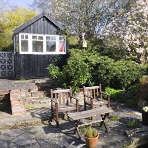 Suburban garden with flowering magnolia, chairs and shed, Kent, England, spring
