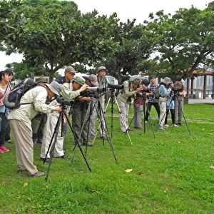Taiwanese birdwatchers scanning estuary with telescopes, members of The Wild Bird Society of Taipei on group outing