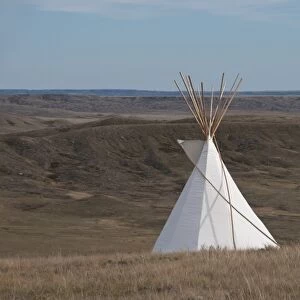 Teepee in shortgrass prairie habitat, West Bloc, Grasslands N. P. Southern Saskatchewan, Canada, october