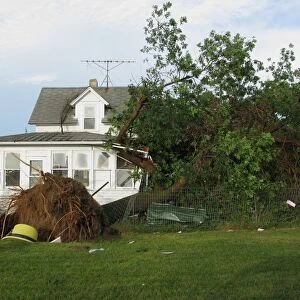 Tornado storm damage, uprooted tree fallen onto house, Oakes, North Dakota, U. S. A. july 2011