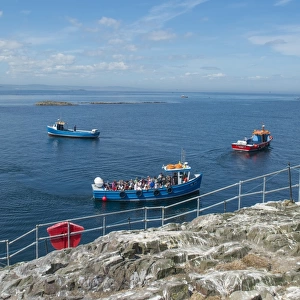 Tourists on boats arriving at island, Staple Island, Outer Farnes, Farne Islands, Northumberland, England, July