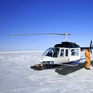 Tourists with helicopter on pack ice, preparing to visit Harp Seal (Pagophilus groenlandicus) colony, Magdalen Islands