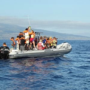 Tourists in whale and dolphin watching boat at sea, Azores, august