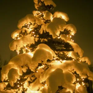 Árbol - Árbol de Navidad decorado cubierto con nieve fuera en la ciudad de Anchorage, Alaska Árbol - Árbol de Navidad decorado cubierto con nieve fuera en la ciudad de Anchorage, Alaska