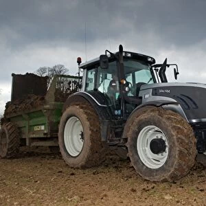 Valtra T151 tractor with muck spreader, spreading muck on arable field, England, march