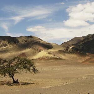 View of coastal desert habitat, Nazca Desert, Nazca, Peru