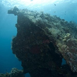 View of coral encrusted shipwreck, Liberty Wreck, Tulamben, Bali, Lesser Sunda Islands, Indonesia