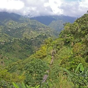 View down over cultivated lower slopes of mountain, Blue Mountains, Jamaica, march