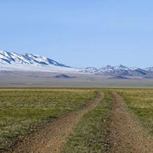 View of dirt road over steppe grassland habitat, Altai Mountains in distance, Gobi N. P. Gobi Desert, Mongolia, october