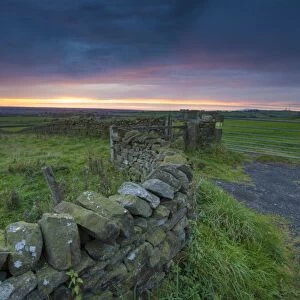 View of drystone walls and gates in farmland on coastal plain at sunset, looking towards Morecambe Bay, The Fylde