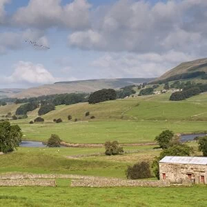 View of drystone walls and stone barn in valley farmland, River Ure, near Hawes, Wensleydale, Yorkshire Dales N. P