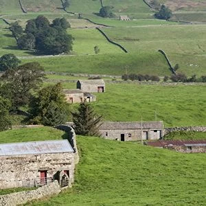 View of drystone walls and stone barns in farmland, Hawes, Wensleydale, Yorkshire Dales N. P