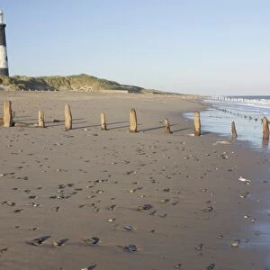 View of eroded groynes on beach and lighthouse in evening light, Spurn Point Lighthouse, Spurn Point, East Yorkshire
