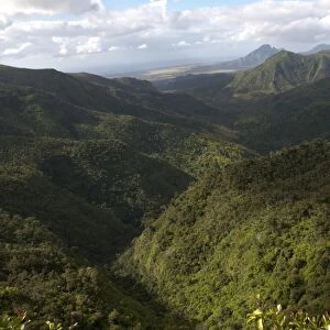 View of forested hillside habitat, Black River Gorges N. P. Black River District, West Mauritius