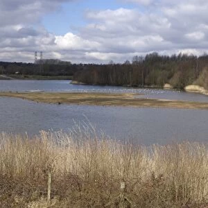 View of freshwater lake habitat with birdwatching hide, Forge Mill Lake, Sandwell Valley RSPB Reserve, West Midlands