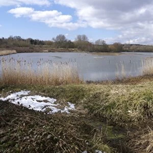 View of freshwater lake habitat with birdwatching hide, Forge Mill Lake, Sandwell Valley RSPB Reserve, West Midlands