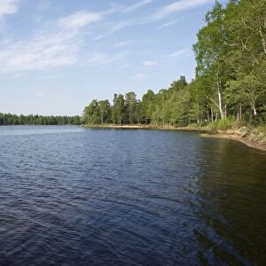 View of freshwater lake habitat, Lake Holsljunga, Vastergotland, Sweden, may