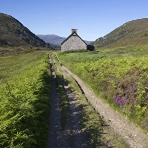 View of heather moorland with trail and hut, Glenmore Forest Park, Cairngorms N. P. Highlands, Scotland, July