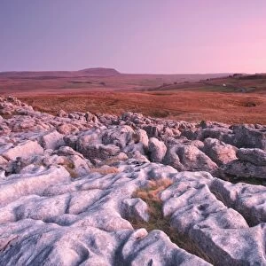 View of limestone pavement at twilight, looking from Ribblehead towards Pen-Y-Ghent, Ribblesdale, Yorkshire Dales N. P