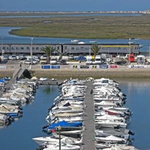 View over marina with passing train, with estuary and saltmarsh habitat in background, Faro, Algarve, Portugal, april
