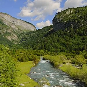 View of mountain valley river habitat, Ordesa y Monte Perdido N. P. Pyrenees, Aragon, Spain, june