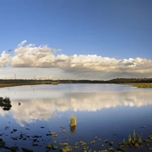 View of open water in wetland habitat, Fairburn Ings RSPB Reserve, West Yorkshire, England, November