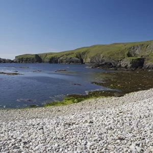 View of pebble beach and sea cliffs, Funzie Bay, Fetlar, Shetland Islands, Scotland